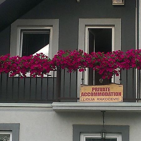 Private Accommodation Lidija Rakocevic Kolašin Buitenkant foto