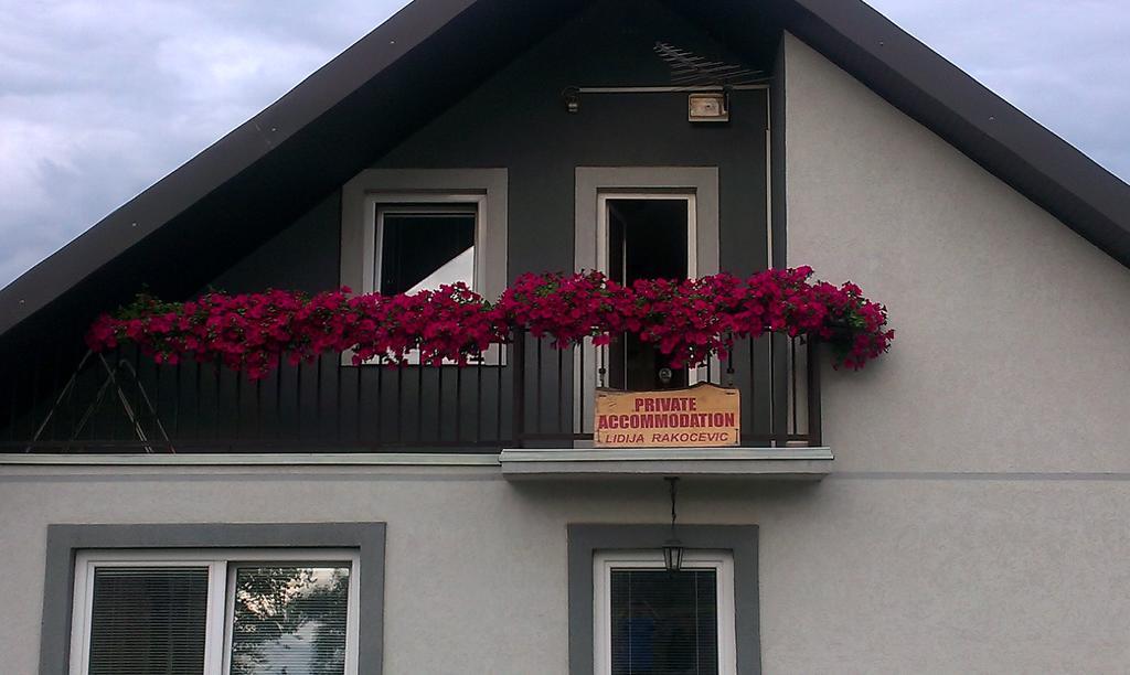 Private Accommodation Lidija Rakocevic Kolašin Buitenkant foto