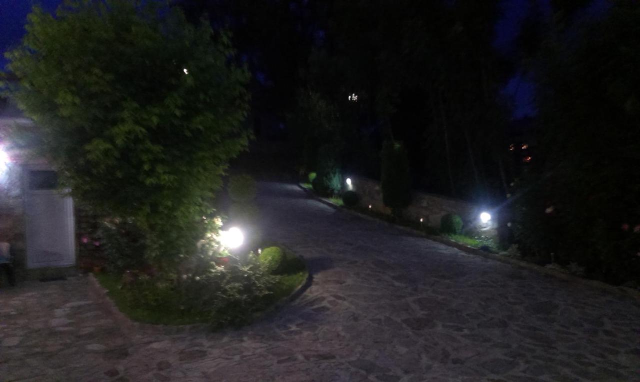 Private Accommodation Lidija Rakocevic Kolašin Buitenkant foto